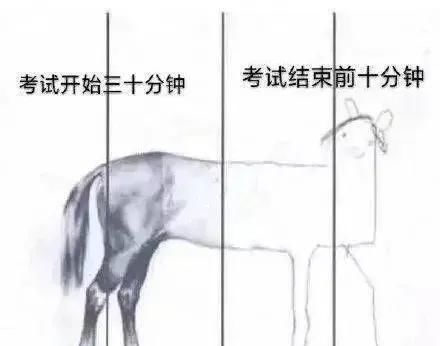 毕加索@美术生考试最后五分钟的灵魂画手,看完笑的停不下来