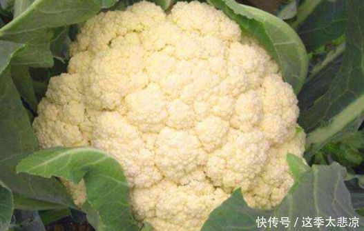 想长寿全靠吃,3种食物不能少,补充营养,提高免疫力