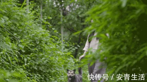 大堰塘|一家四口隐居深山中，三年无经济收入，他们凭什么生存