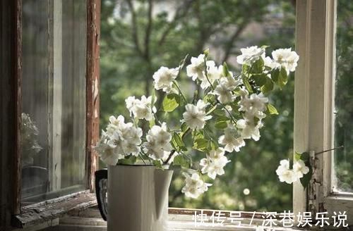 苏东坡#苏东坡40岁一首诗:开篇引人入胜,中年人的写照,读完感慨不已