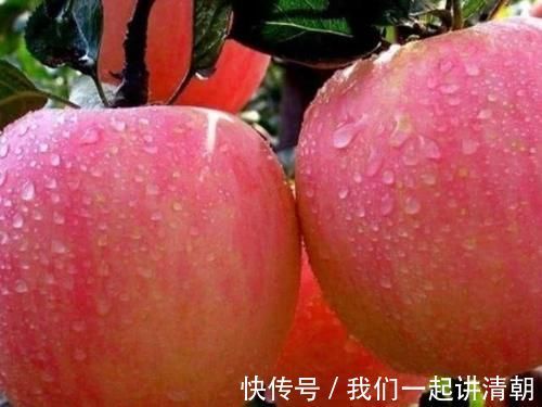 宝宝|女性怀孕后,4种零嘴得经常吃,生出来的宝宝像洋娃娃一样好看