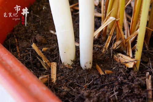  冬天囤大葱，记住“3部曲”，大葱不空心不发黏，放到过年也能吃