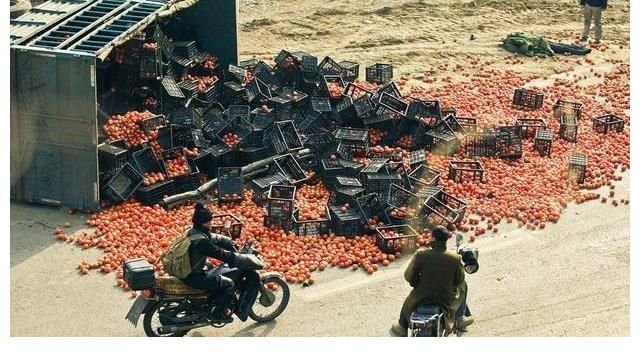 老贾|微博欠他1000次热搜