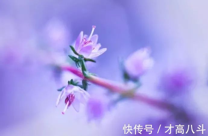 寄内！十位诗人写给妻子的诗，有怀念，有情话，有惋惜！