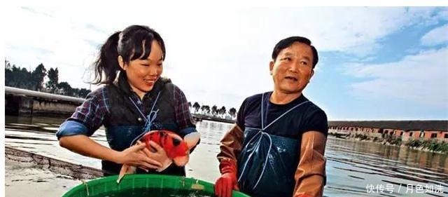 不顾|当年不顾父母反对,回家养鱼的清华才女钟莹莹,今一条鱼卖上千万