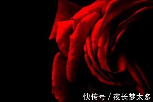 两情相悦|8月上旬，桃花弥漫，姻缘超旺，两情相悦，与真爱缠绵的四大星座