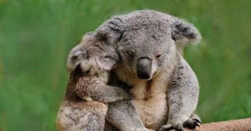 地球真的会在这个世纪达到环境临界点吗？到时人类会灭绝吗？