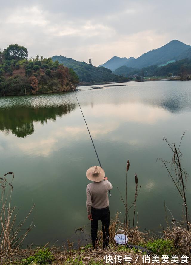 酒味|不用红虫和蚯蚓，斤鲫连续上岸，它是钓大鲫鱼的“利器”