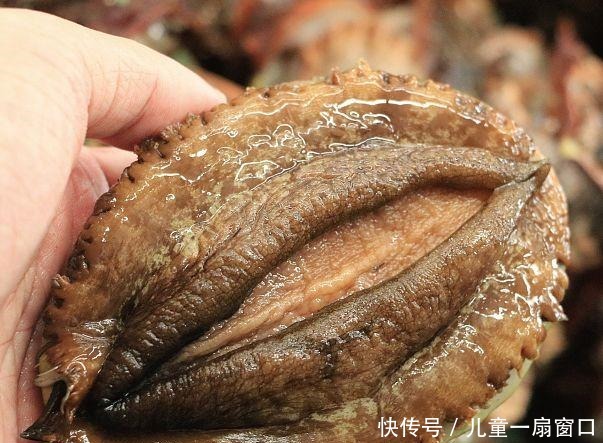 丢面子|第一次吃鲍鱼,当服务员问你要“几头”时,如何回答“不丢面子”