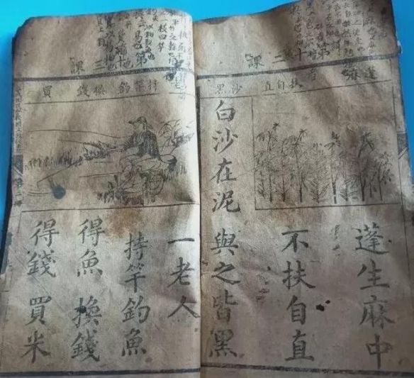 蛤蟆丸|玉兔捣的不是仙草，是蛤蟆丸！奇葩冷知识增加了