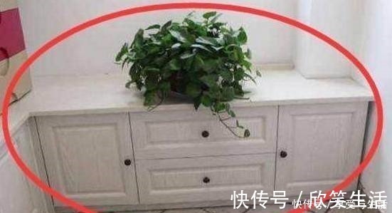 阳台|阳台万万不要装带顶柜的柜子,越来越多人盛行这样装,好看又实用!