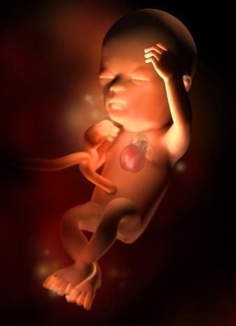 分娩|怀孕最后一个月胎儿长多少斤？孕36-40周胎儿发育标准，孕妈看下