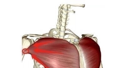 新手都在做俯卧撑,老手却拿双杠臂屈伸练胸,这两个动作差在哪