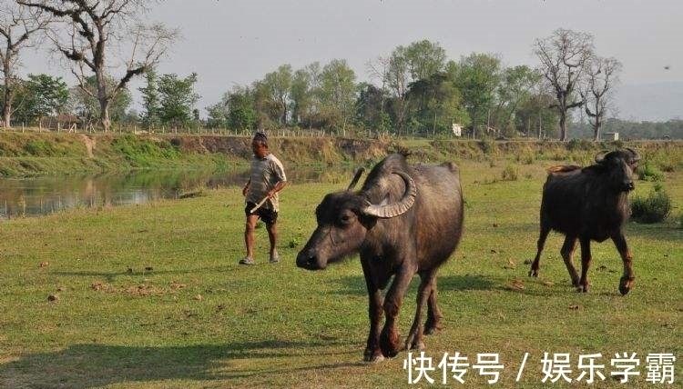朱元璋$3首幽默风趣的古代诗词,经历时间长河的洗刷,依然风采动人