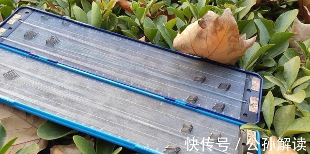 子线的长度将会决定你渔获的多寡,错误的子线用法不仅没口还空军