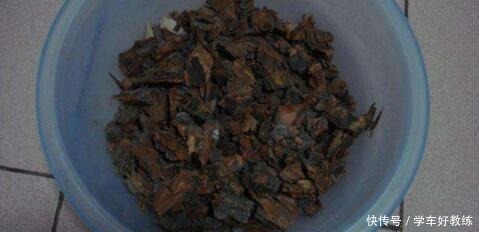 随手捡点它,扔盆里,绿萝、虎皮兰、君子兰……全都长爆盆,好用!