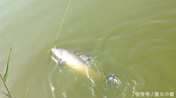 调平水钓两目就是这么简单,这种调漂方法最适合野钓,简单易学