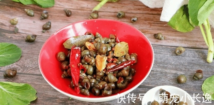 它被誉为“淡水鲍鱼”,钙是牛奶10倍,是海参6倍,才卖10元1斤