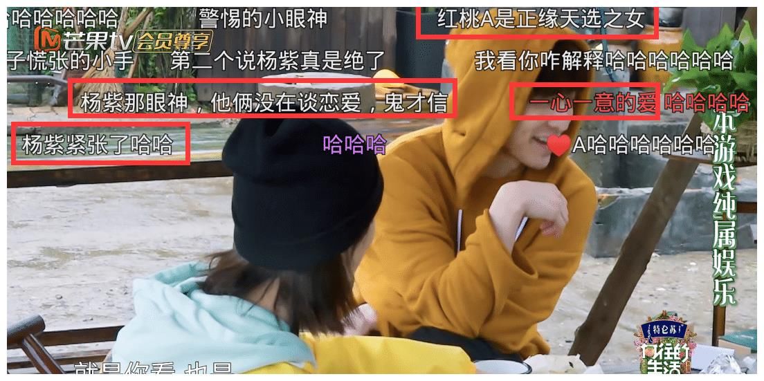 张艺兴|张艺兴套路杨紫，测试两人缘分让人浮想联翩，网友：不敢放进正片