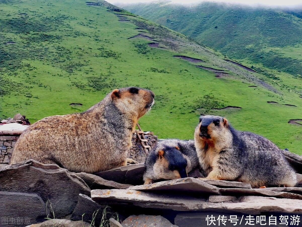 金龙寺|探索莫斯卡，传说中最后的神秘村落，被遗落在世间的隐秘天堂