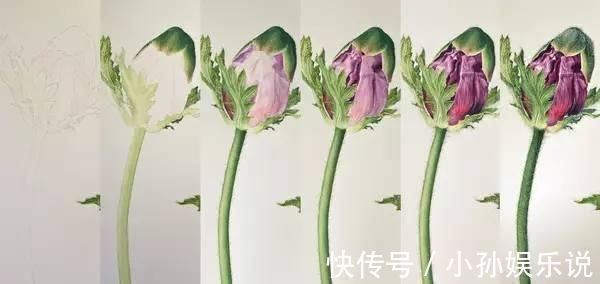 花卉#一位全职妈妈喜欢疯狂画画，教你画水彩花卉