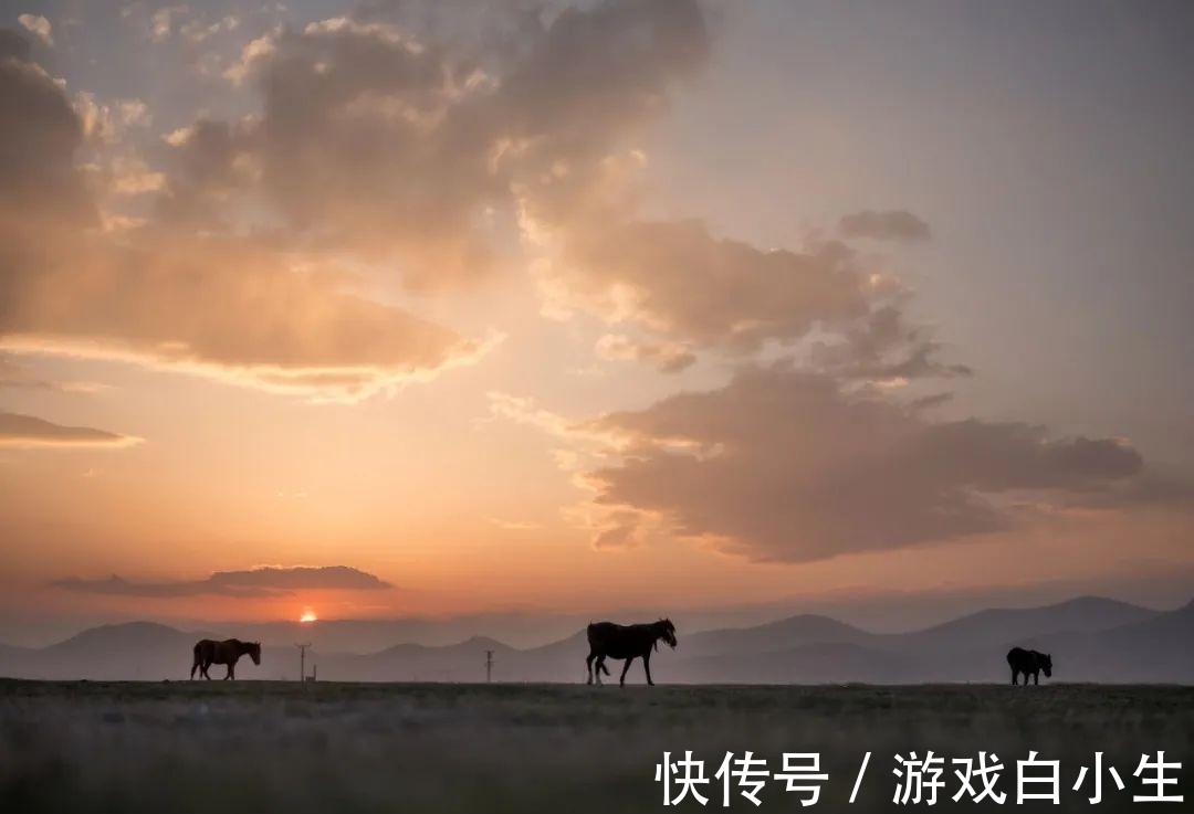 思维方式|哲思｜你的思维层次，决定了人生上限