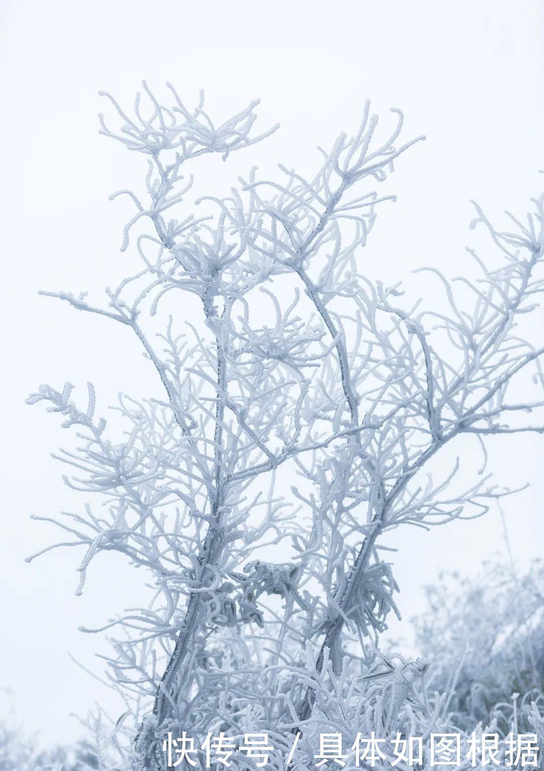 学习强国｜福建武夷山：雪至分水关