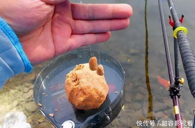 鲫鱼喜欢什么气味,你真的知道吗?这次讲个透彻,咱们一窥究竟