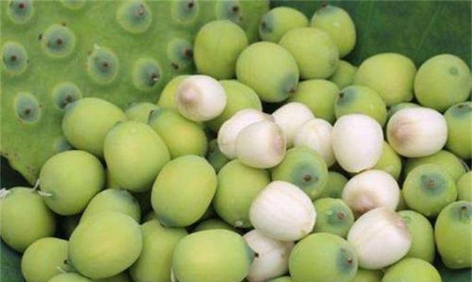 女性老的快,可以多吃三種食物,營養細化好吸收,有益健康!