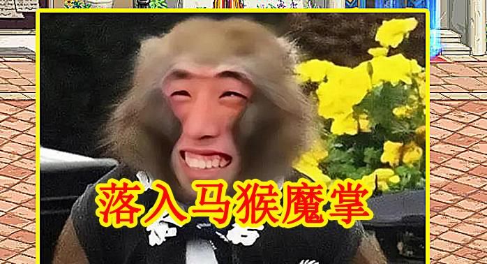 落入|DNF：旭旭宝宝“忽悠”成功，第一元素“7连败”，落入马猴魔掌
