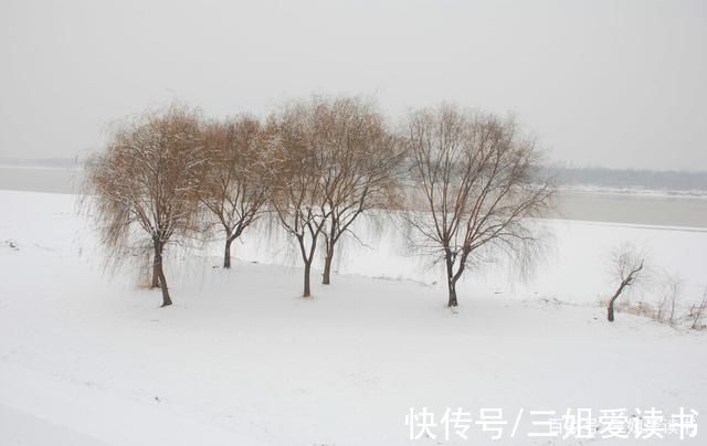 冬天！读老舍的《济南的冬天》，翻开一段尘封已久的美好回忆