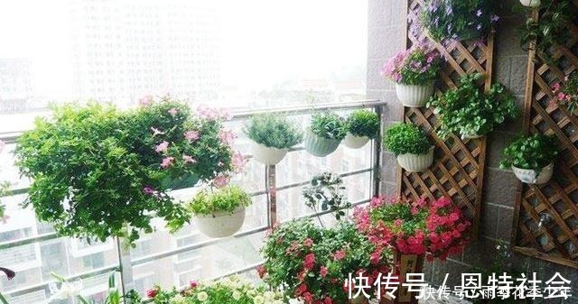 腰线|民间俗语“买房不买腰线房，住房不住道边房”，讲的是什么道理