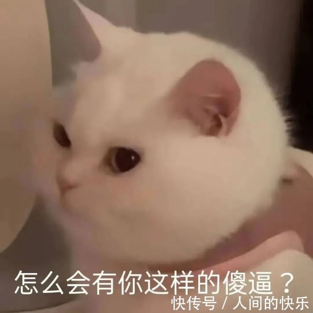 |搞笑沙雕表情包:斗图没有这些 缺少一半的乐趣