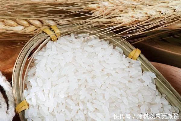 陷入|同样三餐吃米饭,为什么我们胖子多而日本却很少看完我陷入沉思