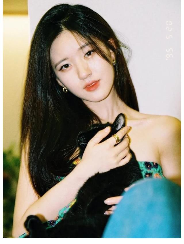 杨洋|赵露思杨洋、马嘉祺人设、张新成、姚安娜丁真、杨紫综艺