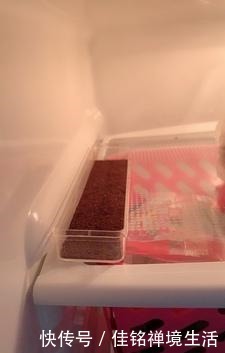 每次路过咖啡店我都会去要一包免费的咖啡渣,它的妙用实在是不少