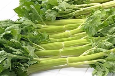 大白菜|各种蔬菜营养深度分析,这5种蔬菜是营养冠军,补钙强骨都靠它