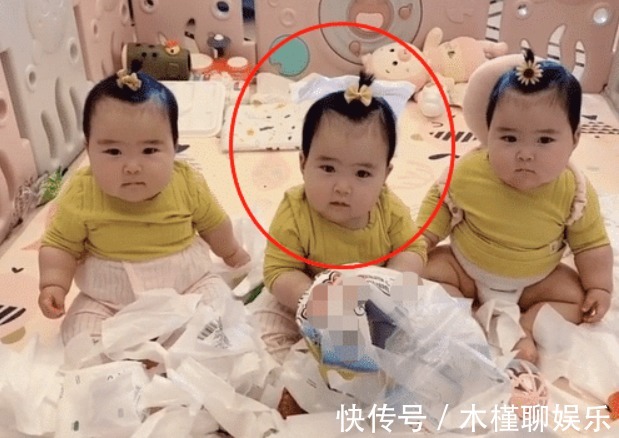小眼神|“拆家女团”三胞胎宝宝走红,中间那个一脸无辜,却数她撕得最欢