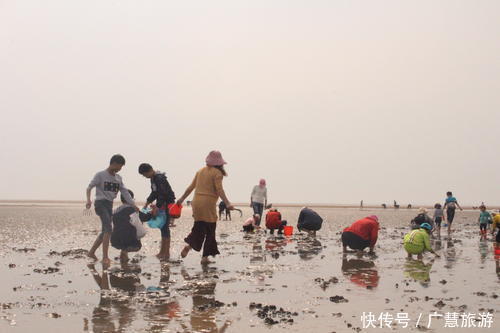 充足|日照赶海需要知道的，潮汐表赶海时间哪里可以赶海