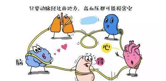 并发症|高血压不治疗会怎么样如果能接受这样的结果,那就可以不治疗