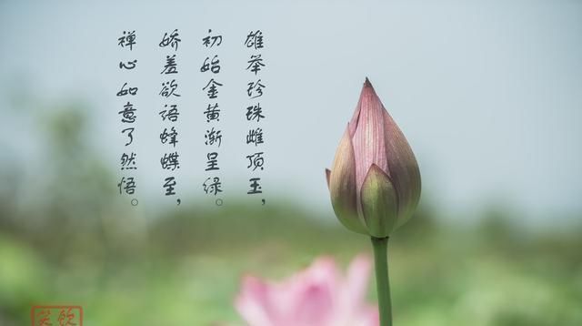 悟得心境|禅心人生四悟,瞬间清醒