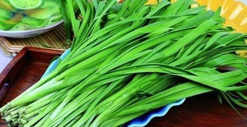 硫化物|立秋后,吃韭菜好处多,但不要与一物同吃,很多人傻傻不清楚