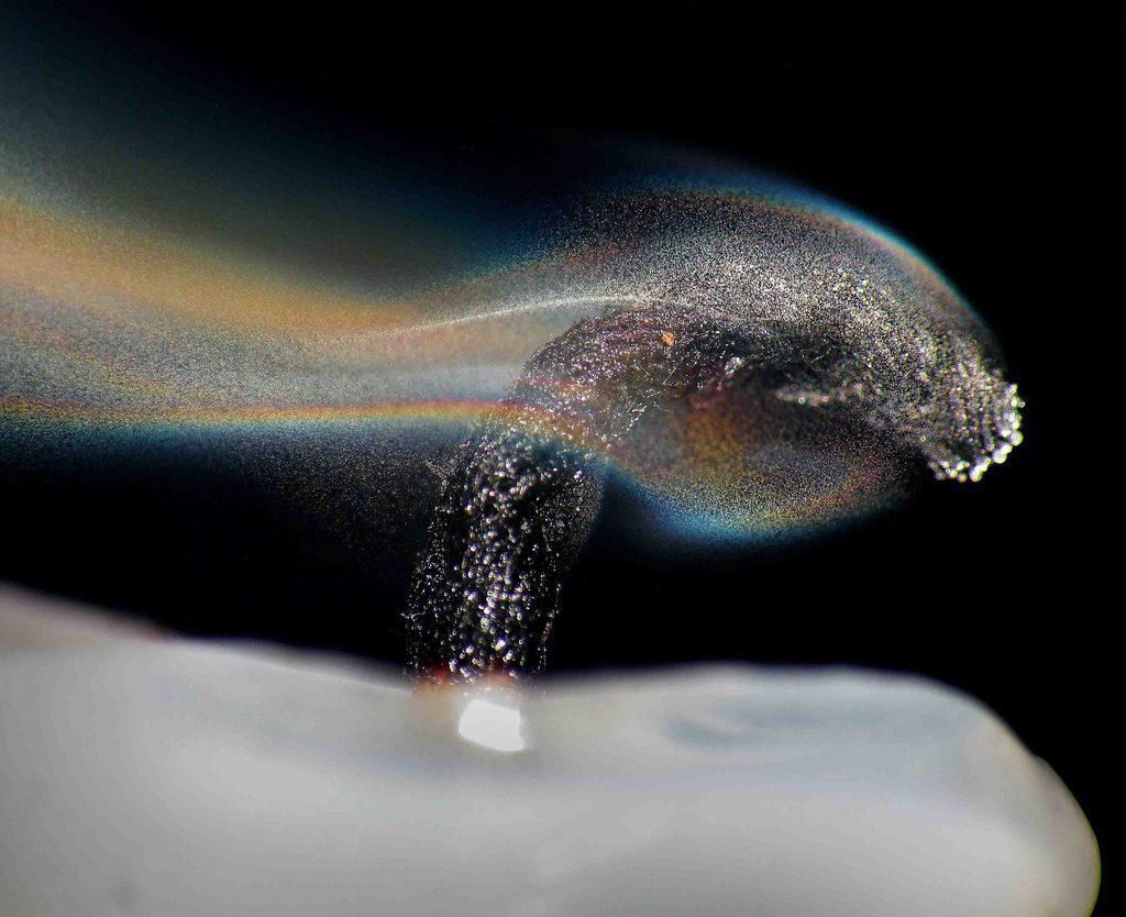 烛树|仙人烛树蜡烟轻,清琴醉眼泪泓泓。