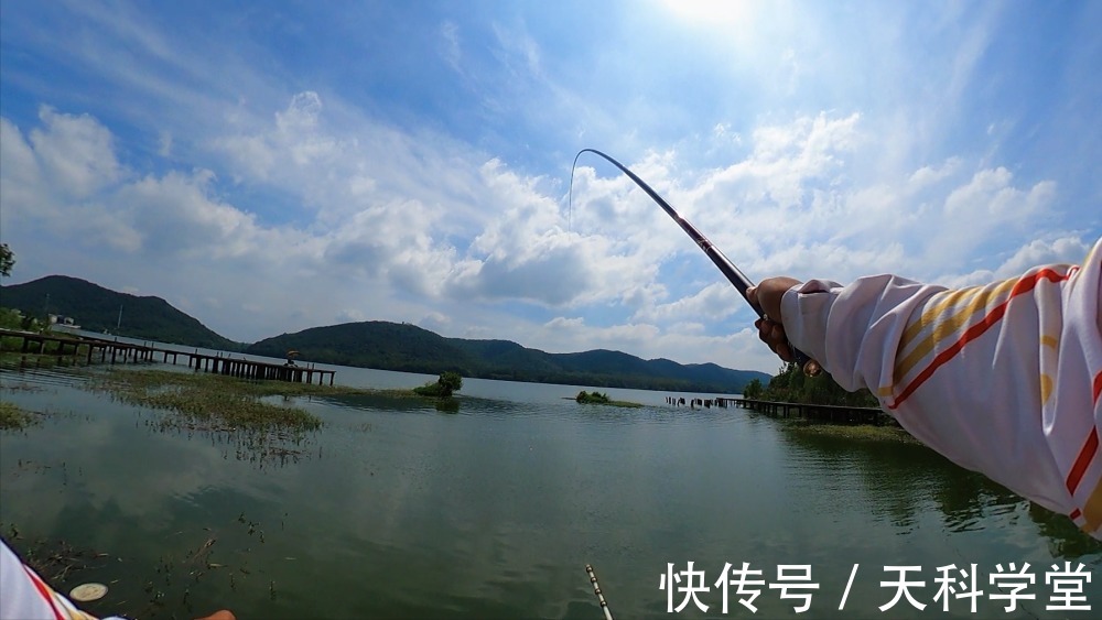 饵料|冬天鲫鱼开口轻,老钓手有方法针对,学会这3点提高中鱼率