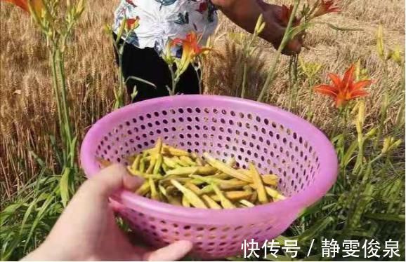 不焯水不能吃的5种蔬菜，以后别再直接下锅了，吃了肠胃不舒服