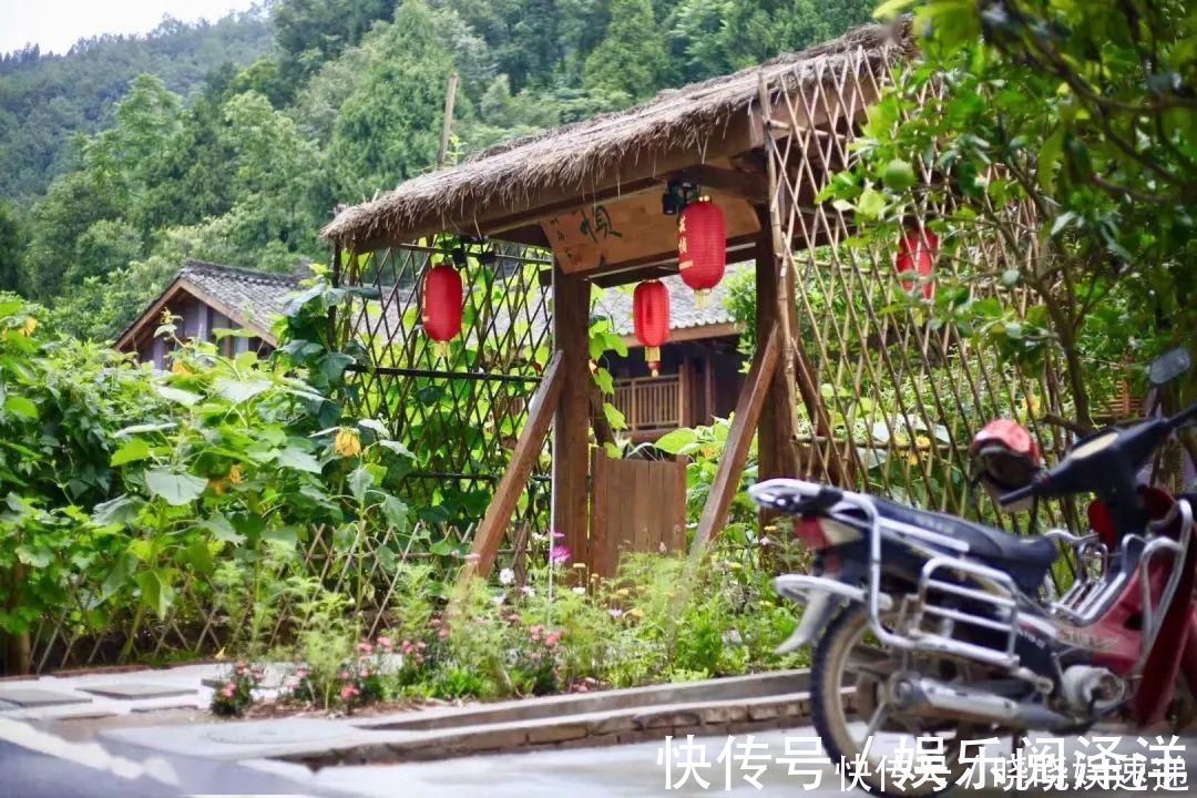 在乡下改造一个小院，种菜养花天天都是乡村田园梦，生活如此惬意