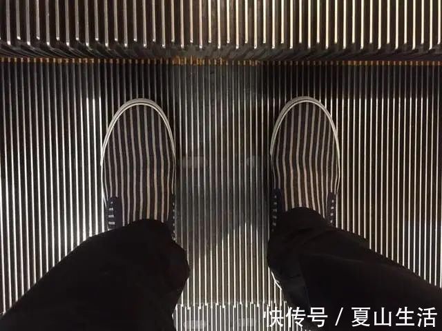 照片&这些照片巧妙得非常艺术,处女座看了很过瘾,连蛇也有“强迫症”