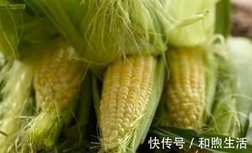 口服降糖药|10种植物是糖尿病的天然克星,效果最好的确被当垃圾扔掉