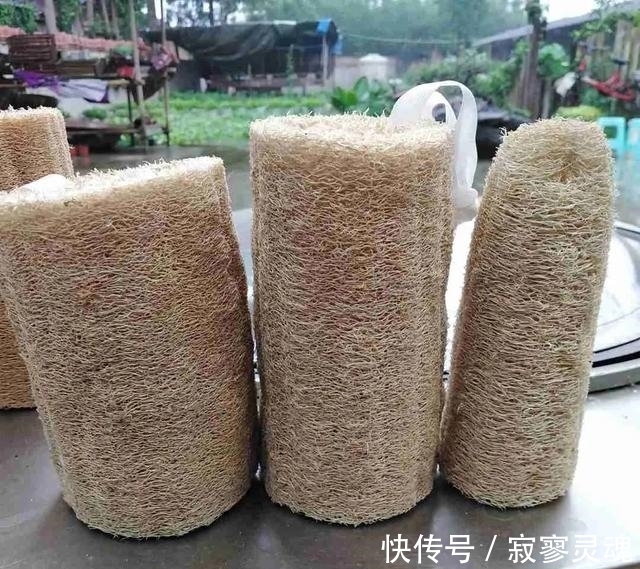 老花农教你这么做,花儿不积水不烂根,盆盆长的精神