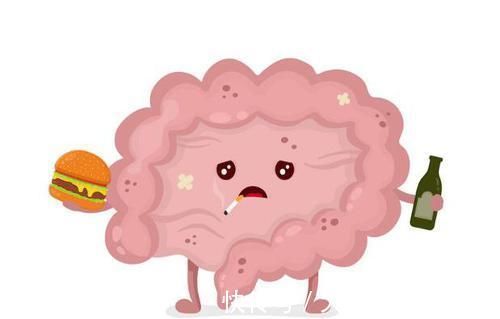 好人|肠好人长寿!牢记晨起3坚持,睡前4不要,肠道一天比一天好!